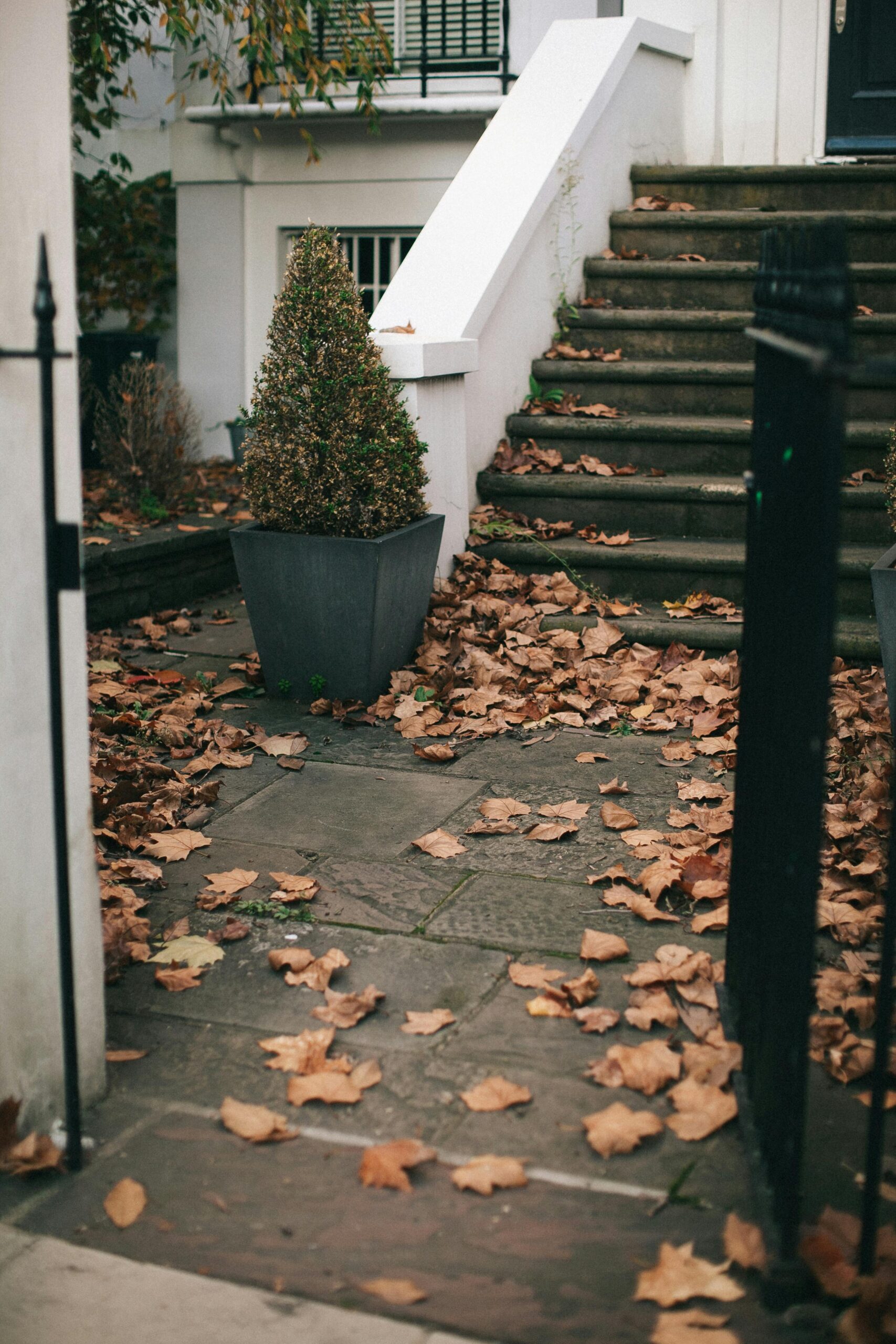 Beautiful autumn scene with fallen leaves on steps outside a London home.
