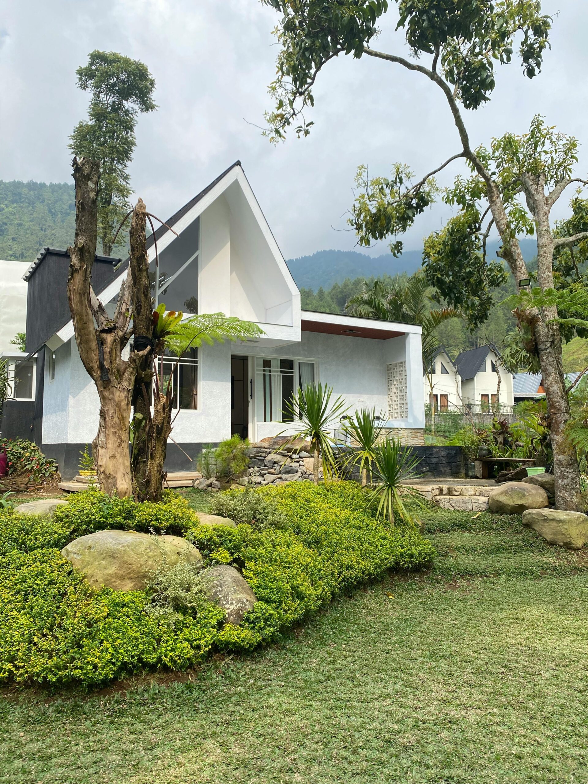 Contemporary house amidst lush greenery and mountains.