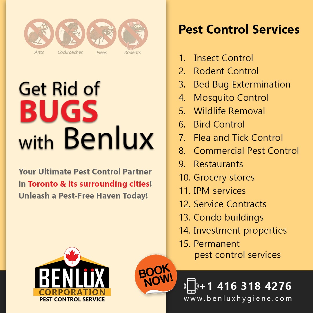bedbugs