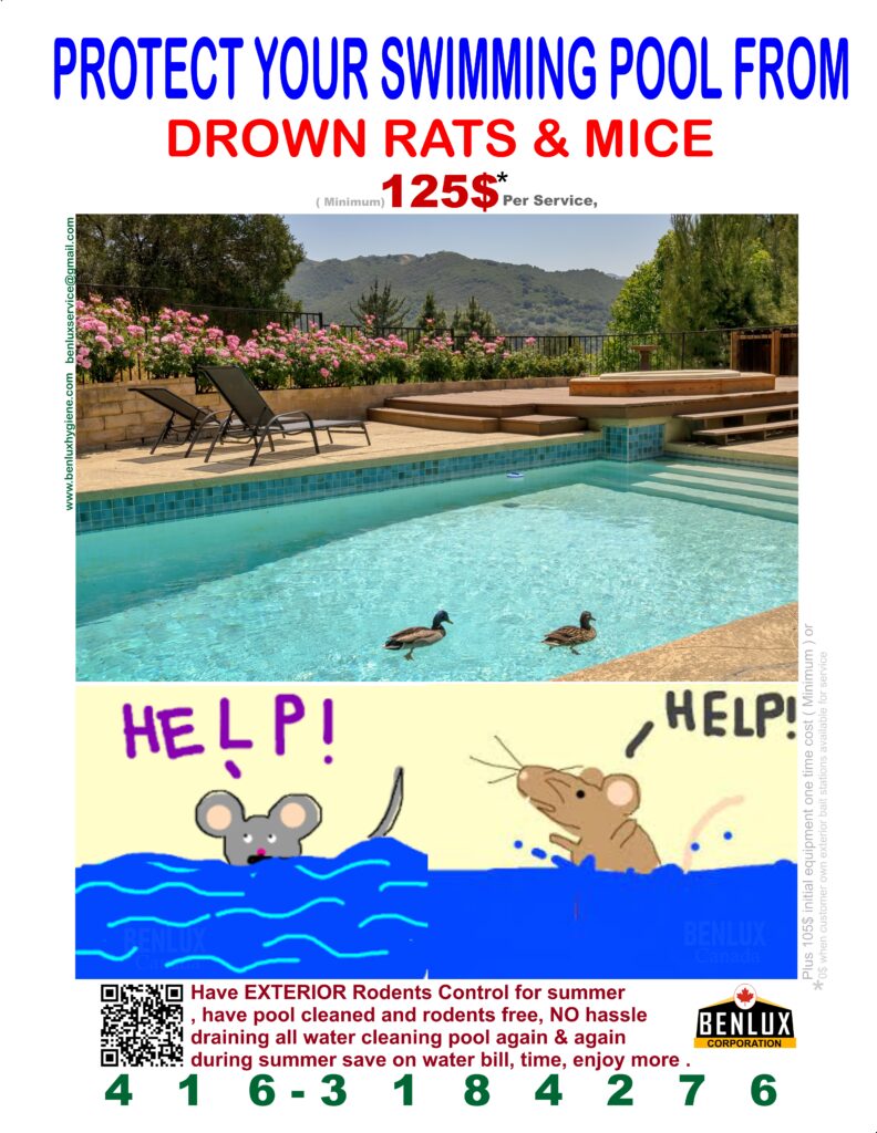 pool rodents